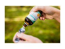 Lade das Bild in den Galerie-Viewer, Probier- und Geschenkset - Weihnachtsedition
